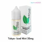 TOKYO SALTNIC ICED MINT 30ML IN DUBAI