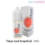 BEST TOKYO SALTNIC ICED GRAPEFRUITE 30ML IN DUBAI UAE