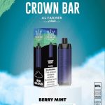 CROWN BAR AL FAKHER 8000 PUFFS IN DUBAI NEW - Image 10