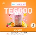 ELF BAR TE6000 (US VERSION) IN DUBAI - Image 6