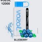 VOZOL STAR DISPOSABLE VAPE 12000 PUFFS IN DUBAI - Image 13
