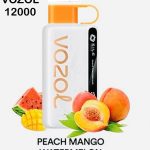 VOZOL STAR DISPOSABLE VAPE 12000 PUFFS IN DUBAI - Image 8