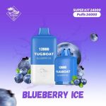 Blueberry-Ice.jpg
