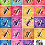 VOZOL STAR 20000 PUFFS
