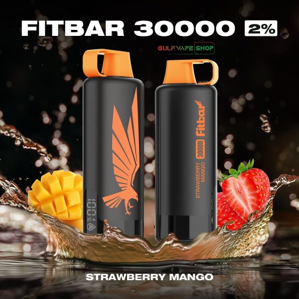 FITBAR SHISHA 30000 Puffs DISPOSABLE VAPE IN DUBAI