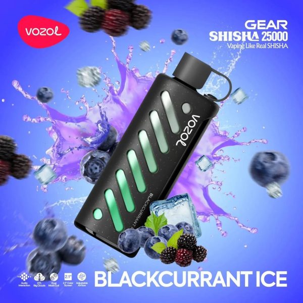 VOZOL SHISHA 25000 PUFFS DISPOSABLE VAPE IN DUBAI