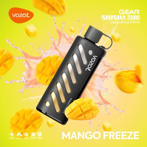 VOZOL SHISHA 25000 PUFFS DISPOSABLE VAPE IN DUBAI