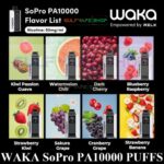 WAKA SoPro PA1000